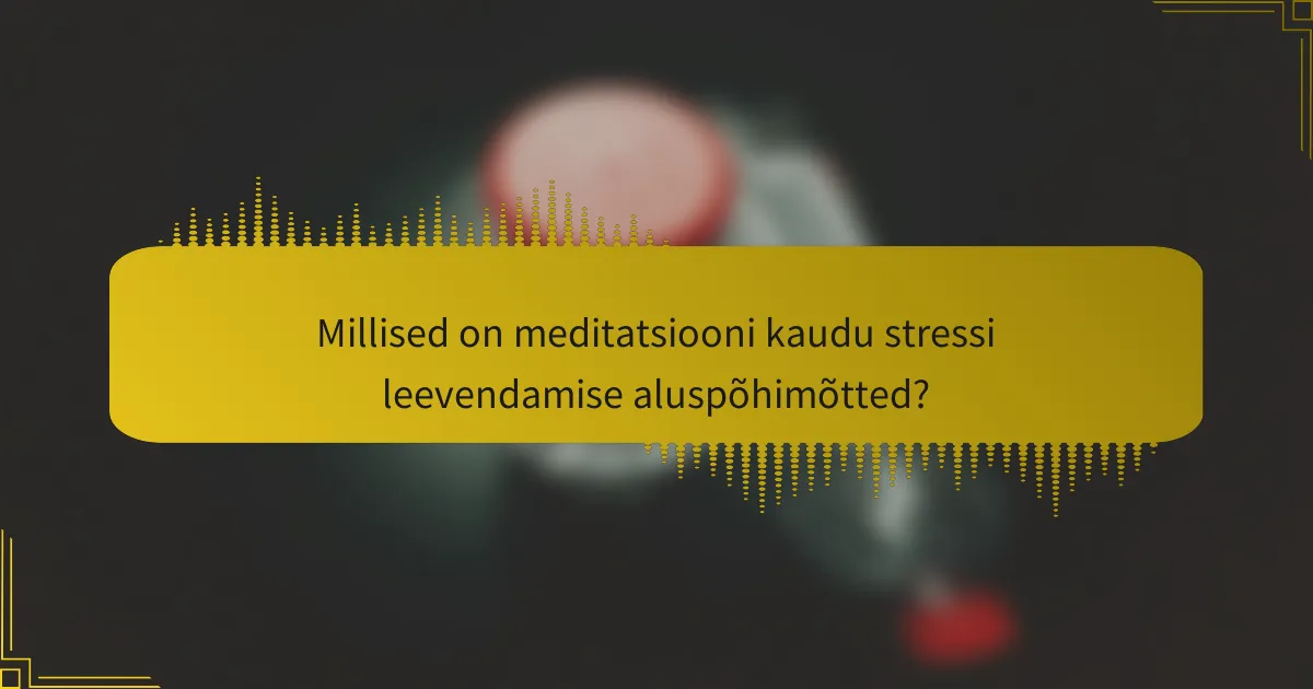 Millised on meditatsiooni kaudu stressi leevendamise aluspõhimõtted?