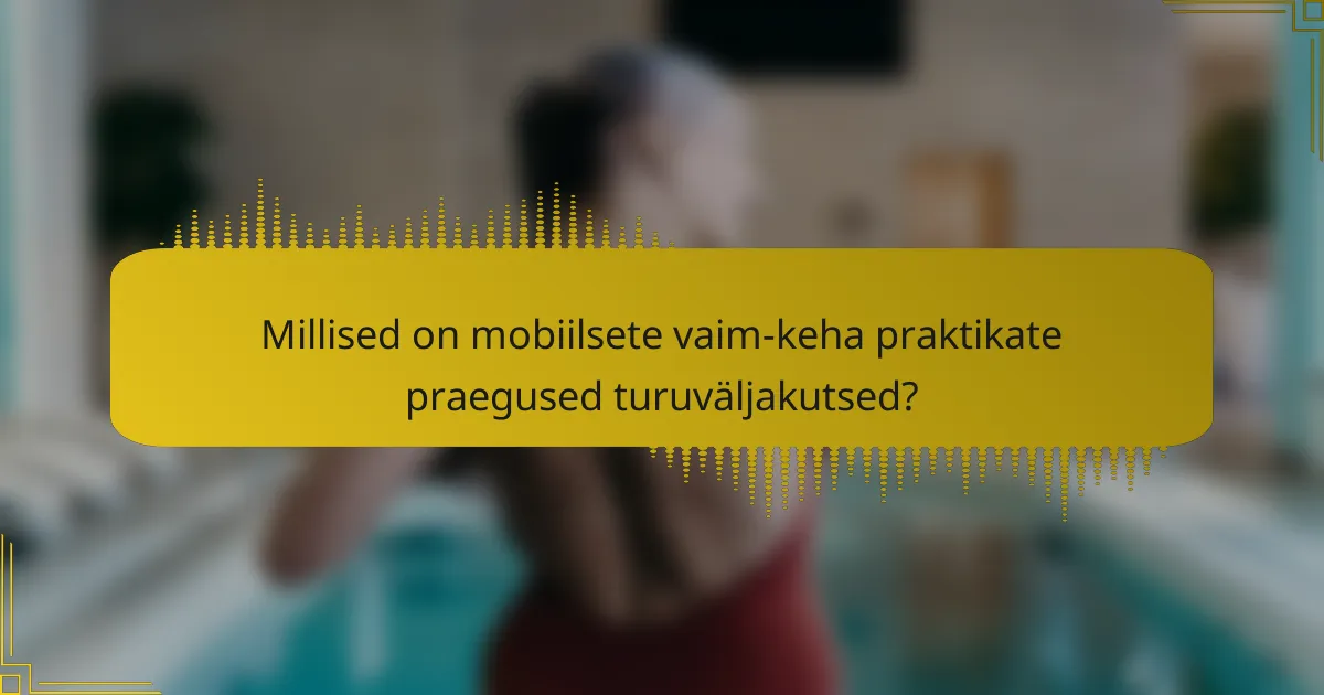 Millised on mobiilsete vaim-keha praktikate praegused turuväljakutsed?