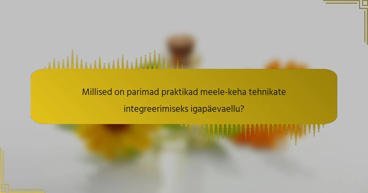 Millised on parimad praktikad meele-keha tehnikate integreerimiseks igapäevaellu?