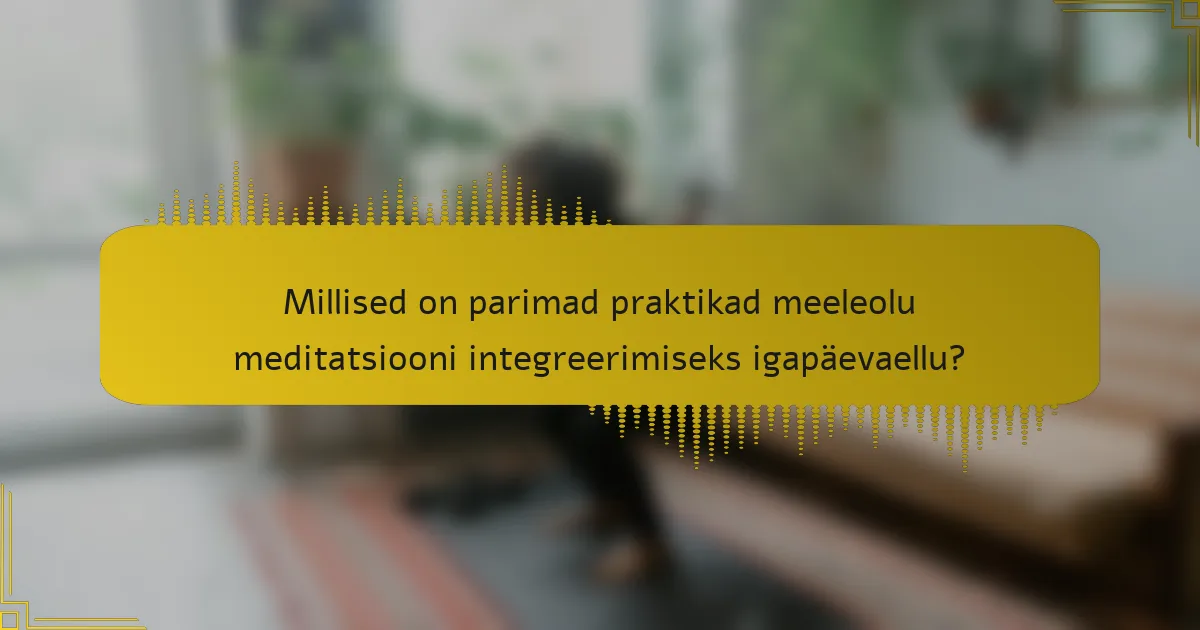 Millised on parimad praktikad meeleolu meditatsiooni integreerimiseks igapäevaellu?