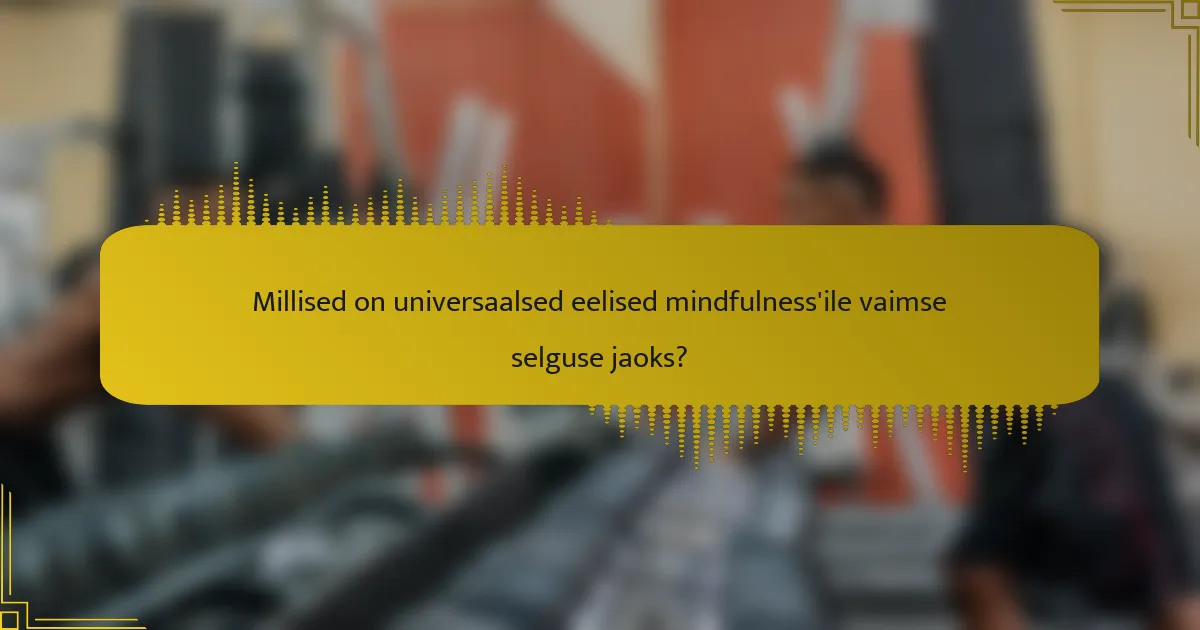 Millised on universaalsed eelised mindfulness'ile vaimse selguse jaoks?