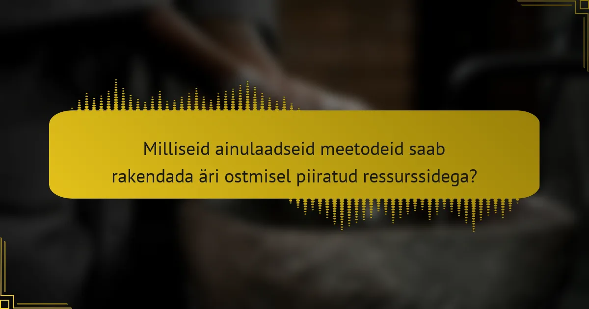 Milliseid ainulaadseid meetodeid saab rakendada äri ostmisel piiratud ressurssidega?